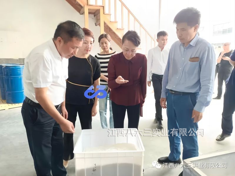 市委常委、統戰部部長(cháng)羅璇一行蒞臨八六三公司考察指導